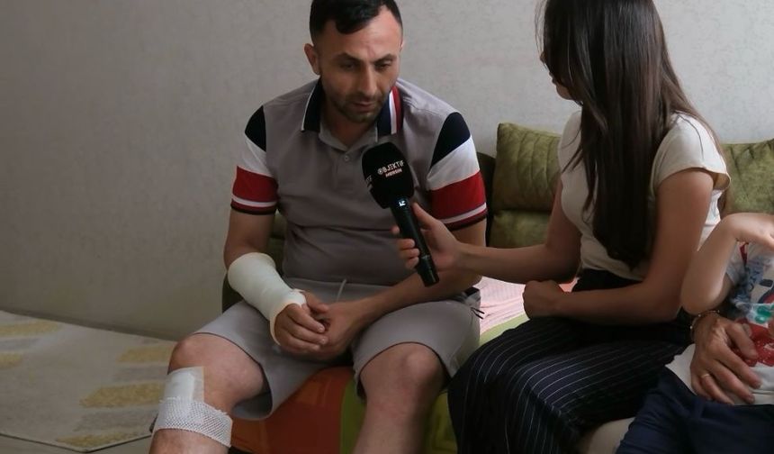 Ormanda ailece yürüyüş yaparken başıboş köpekler saldırdı