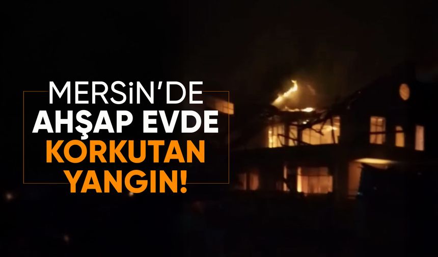 Mersin'de yayla evinde korkutan yangın