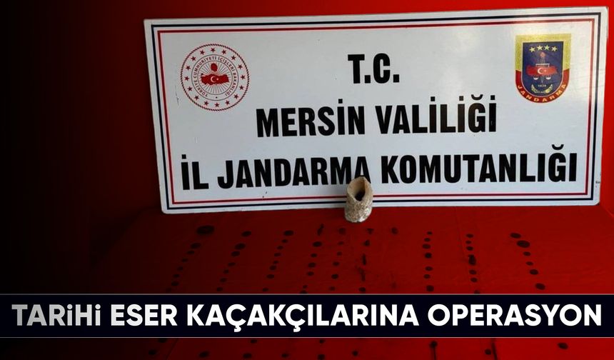 Mersin'de tarihi eser kaçakçılarına operasyon