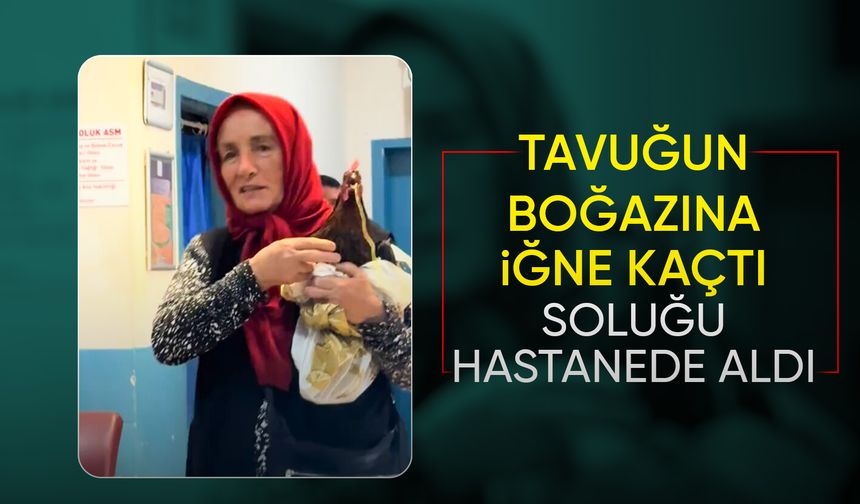 Tavuğunu röntgen için hastaneye götürdü