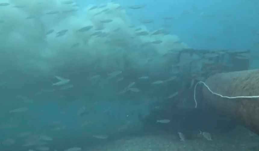 Çanakkale Boğazı’nda kirlilik alarmı... Rekortmen dalgıç şok oldu!