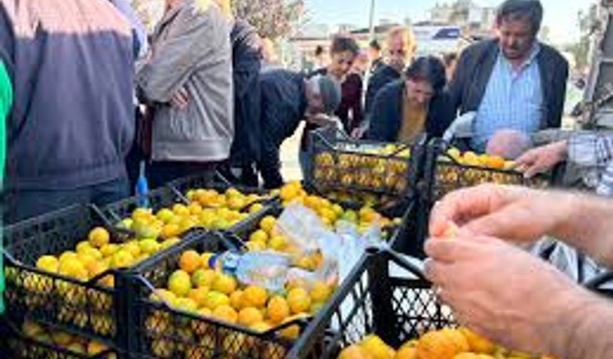 Hatay'da üreticiler, alıcı çıkmayan tonlarca mandalinayı ücretsiz dağıttı