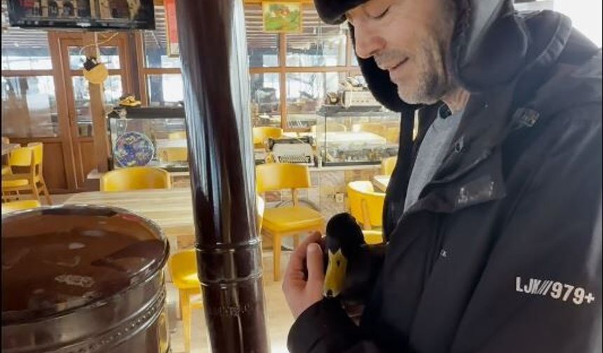 Bitkin bulunan ördek, beslenip doğaya salındı