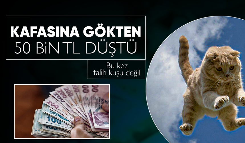 Üzerine kedi düşen hastaya 50 bin lira tazminat