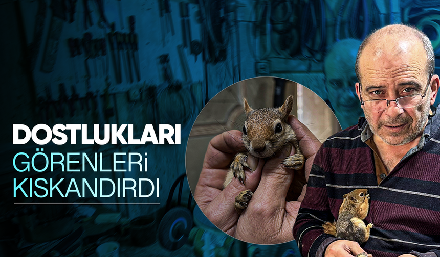 Ormanda bulduğu sincap en yakın dostu oldu