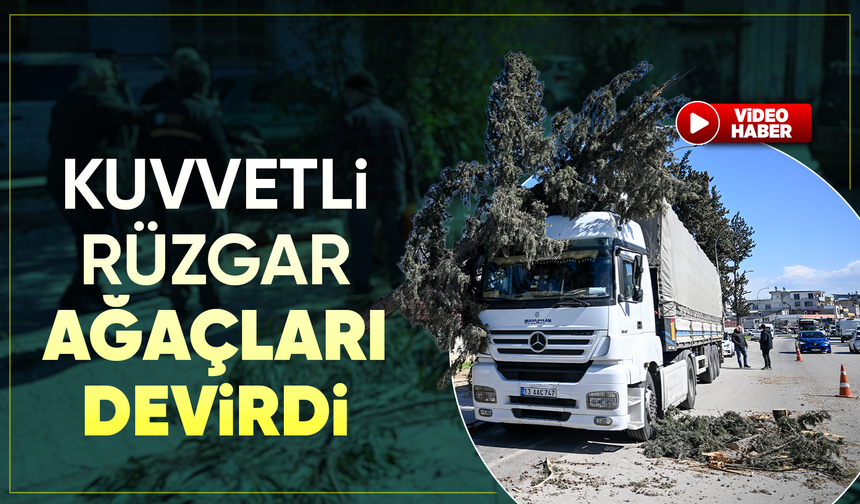 Adana'da şiddetli rüzgar ağaçları devirdi