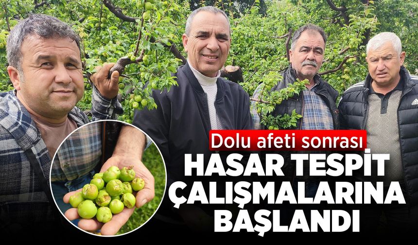 Dolu afeti sonrası hasar tespit çalışmalarına başlandı