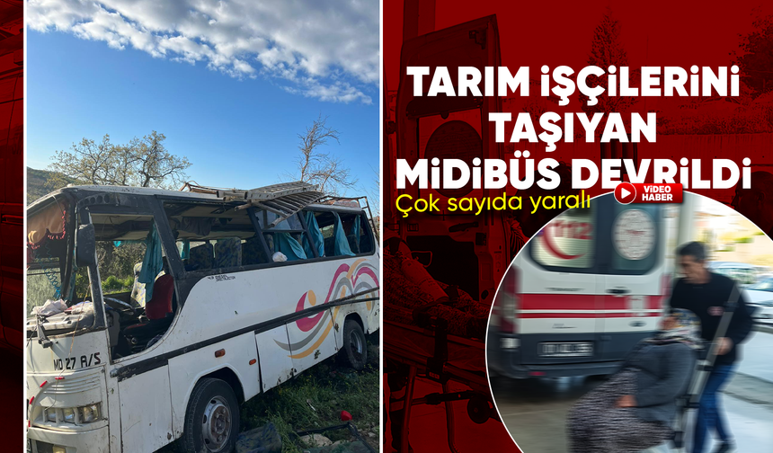 Tarım işçilerini taşıyan minibüs devrildi: 15 yaralı