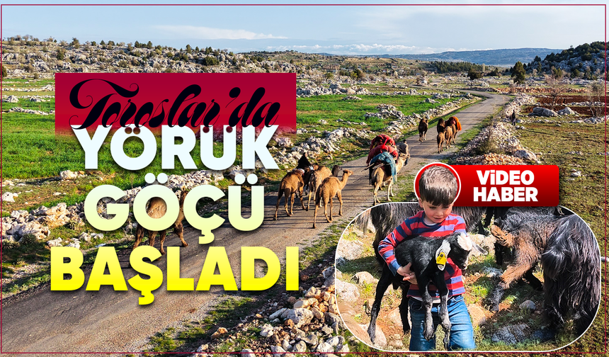 Toroslar'da Yörük göçü başladı: Sarıkeçililer yayla yolunda