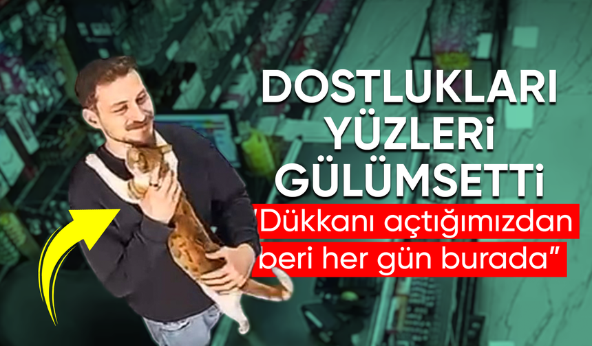 Rize’de kedi ile esnafın dostluğu gülümsetti