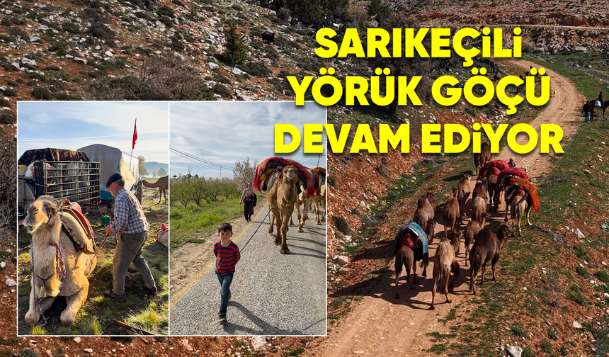 SARIKEÇİLİ YÖRÜK GÖÇÜ DEVAM EDİYOR