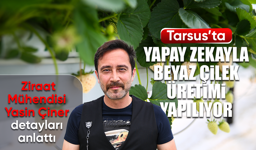 Yapay zeka destekli topraksız serada üretilen beyaz çilek 5 ülkeye ihraç ediliyor