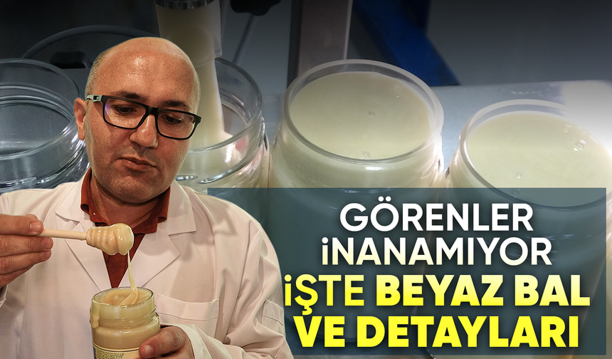 Bu da beyaz bal: Gören önce inanmıyor ama tamamen gerçek ve doğal bal