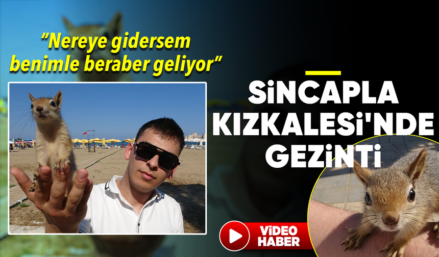 Sincap tatilde: Yaralı buldu, iyileştirdi, Kızkalesi'nde gezintiye çıkardı