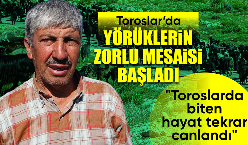 Türkiye'nin keçi yetiştirme merkezi Mersin: Toroslar yeşerdi, Yörüklerin zorlu mesaisi başladı