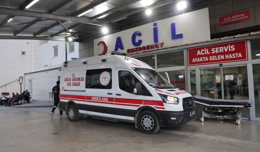 Kız alıp verme husumeti kanlı bitti: Baba ve oğlu öldürüldü