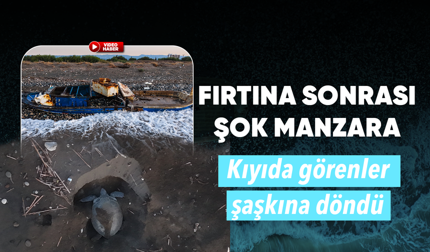 Caretta cerattaların yuvalama alanındaki kıyıya batık tekne vurdu