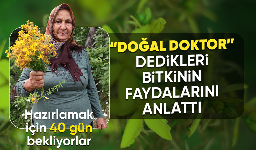 Feke'nin dağ köyünde sarı kantaron ve kekik geleneksel yöntemlerle şifa kaynağına dönüşüyor