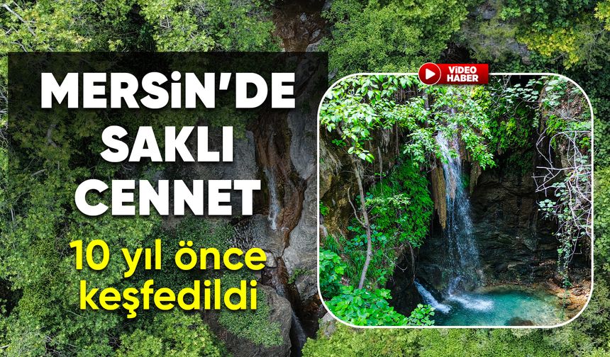Ormana gizlenen şelale, bu sene coşkulu akıyor