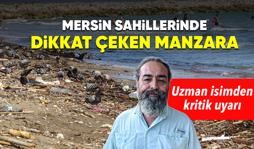 Mersin sahillerindeki kirlilik turizmi tehdit ediyor