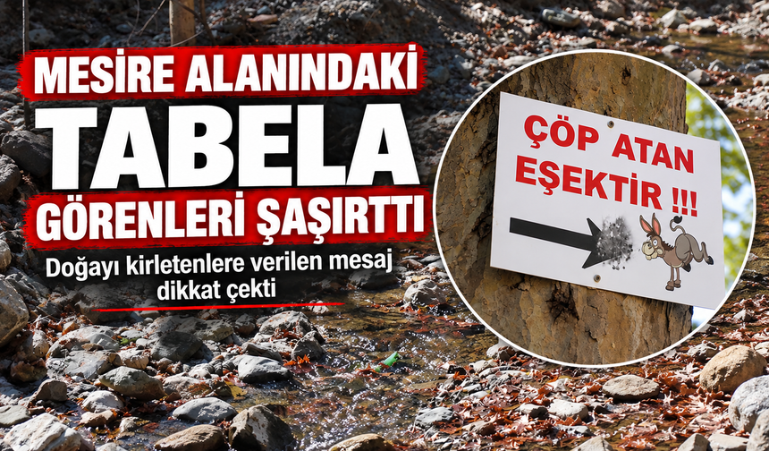 Mesire alanındaki çöp sorununa 'Çöp atan eşektir' yazılı tabelayla tepki