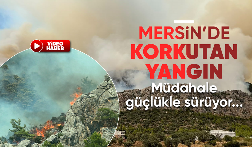 Mersin'de orman yangını: Alevler rüzgarın etkisiyle yayılıyor
