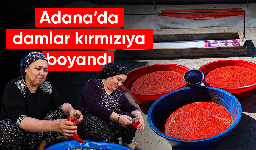 Damlar şarkılı türkülü salça mesaisi ile kırmızıya boyandı