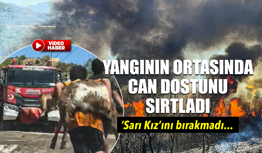 Kendisi küçük yüreği büyük; Besleyip büyüttüğü oğlağını yangın yerinden sırtında taşıyarak götürdü