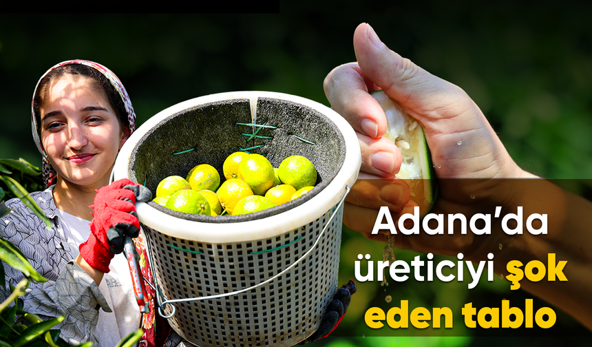 Karadeniz'de gemi trafiği durdu, Adana'da limon ve mandalina dalında kaldı
