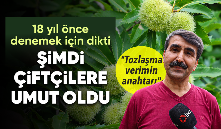 5 Fidanla Başladı, 18 Yıl Sonra Bölgeye Umut Oldu!