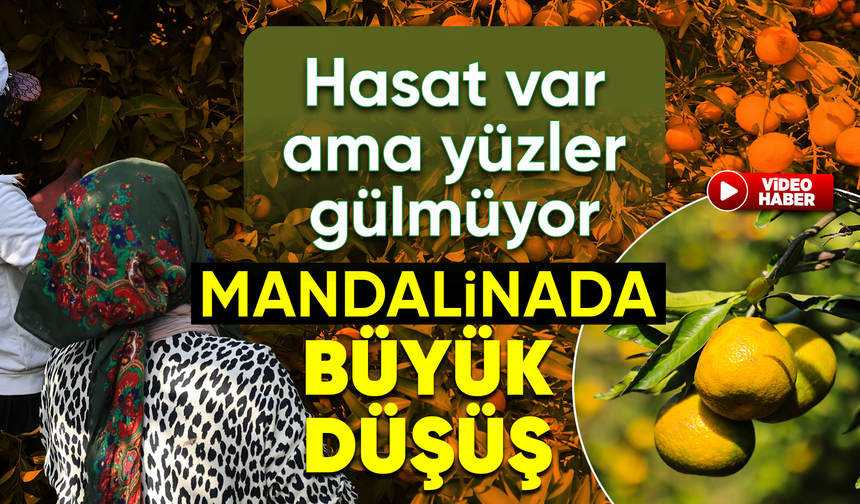 Mandalinanın kilogramı 3 liraya kadar geriledi