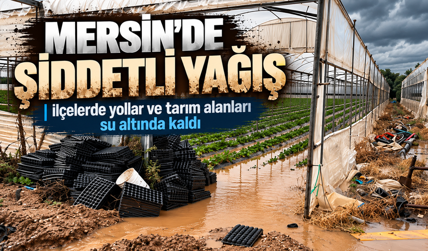 Mersin'de şiddetli yağış: İlçelerde yollar ve tarım alanları su altında kaldı