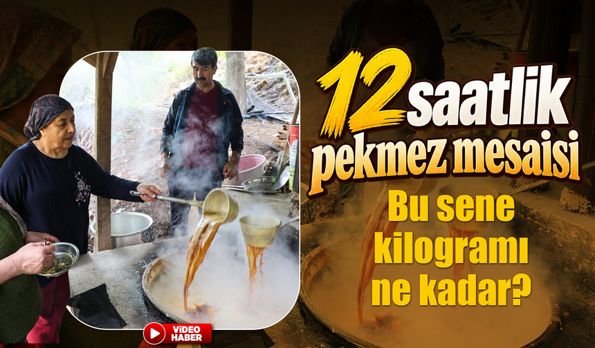 Bin 200 rakımda asırlık pekmez geleneği yaşatılıyor