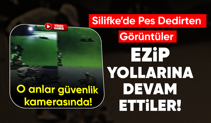 Silifke’de Pes Dedirten Görüntüler: Ezip Yollarına Devam Ettiler!