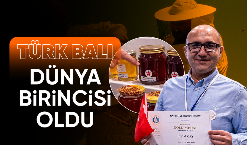 Toroslar’ın Zirvesinden Dünya Zirvesine! Mersin’in Balı Altın Madalya Kazandı