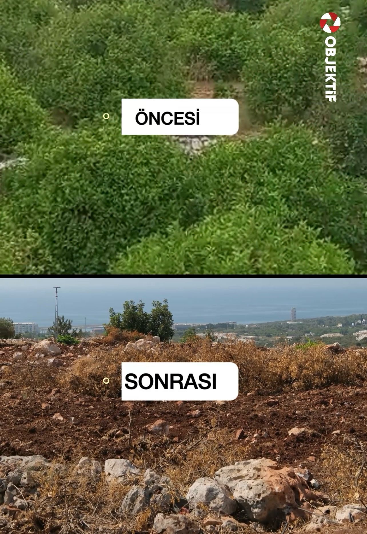 Whatsapp Görsel 2025 06 17 Saat 12.28.05 077441B8