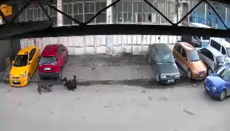 Ekran Görüntüsü 2025 11 03 191146