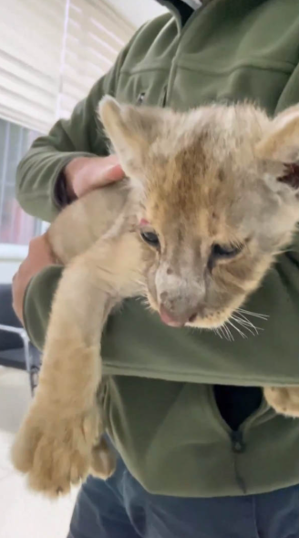 Ekran Görüntüsü 2025 11 07 130003