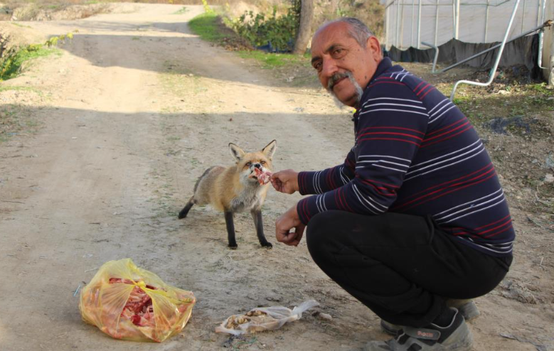 Ekran Görüntüsü 2025 11 17 123019