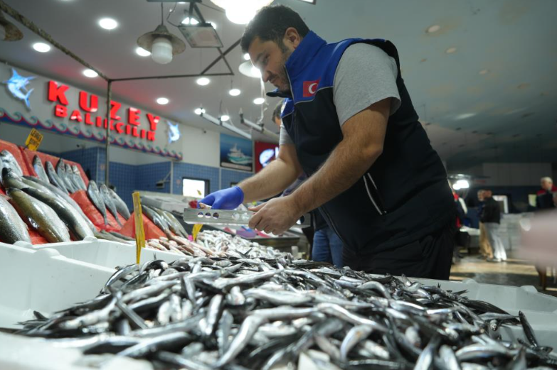 Ekran Görüntüsü 2025 11 17 125152