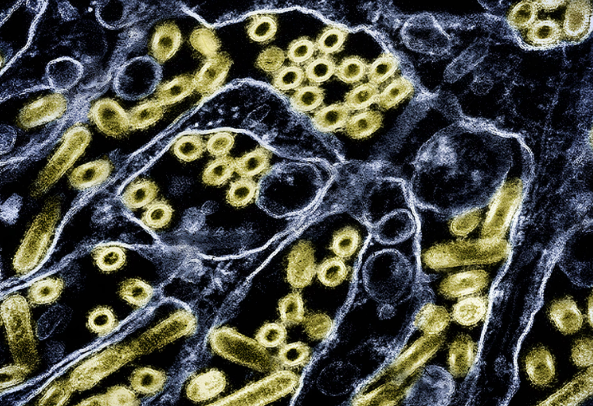 Ekran Görüntüsü 2025 11 23 112017