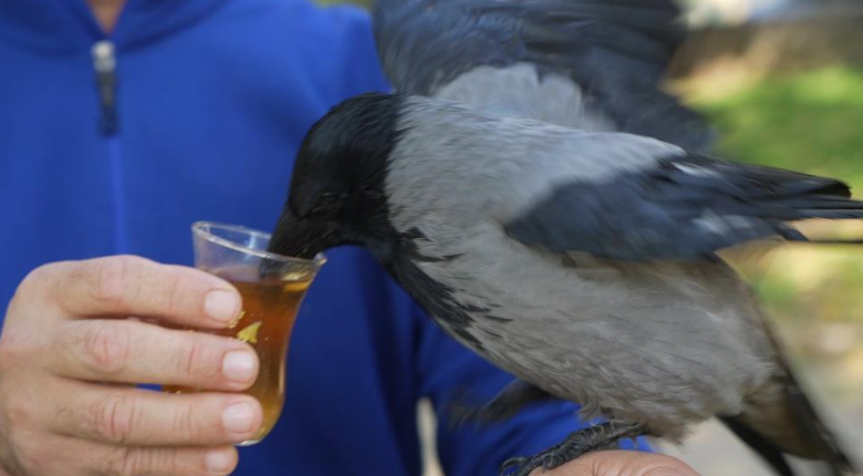 Görsel 2025 11 05 171007136