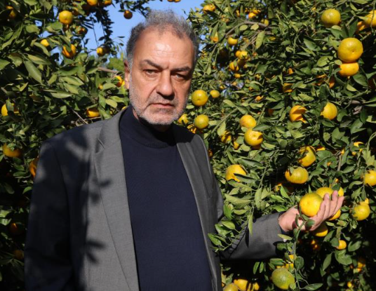 Görsel 2025 11 23 113457982