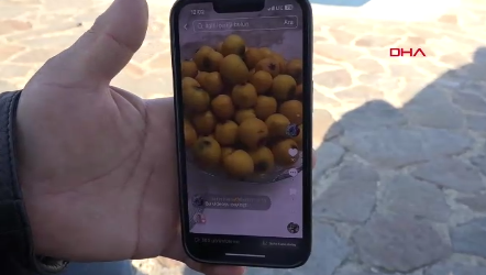 Görsel 2025 11 29 162434095