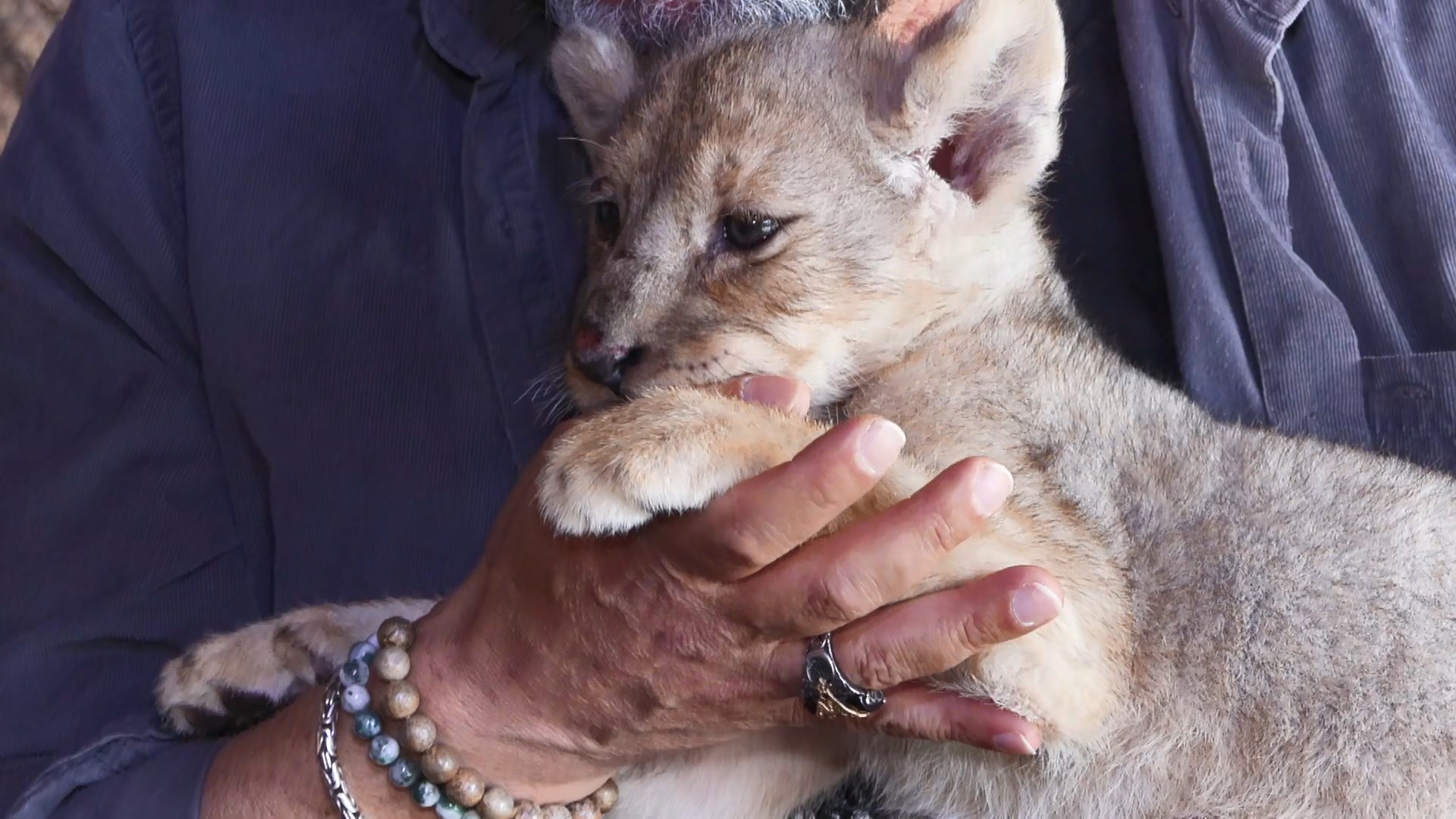 I S T A N B U L T U Z L A D A D E N E T I M D E E L E G E C I R I 1005131 298239