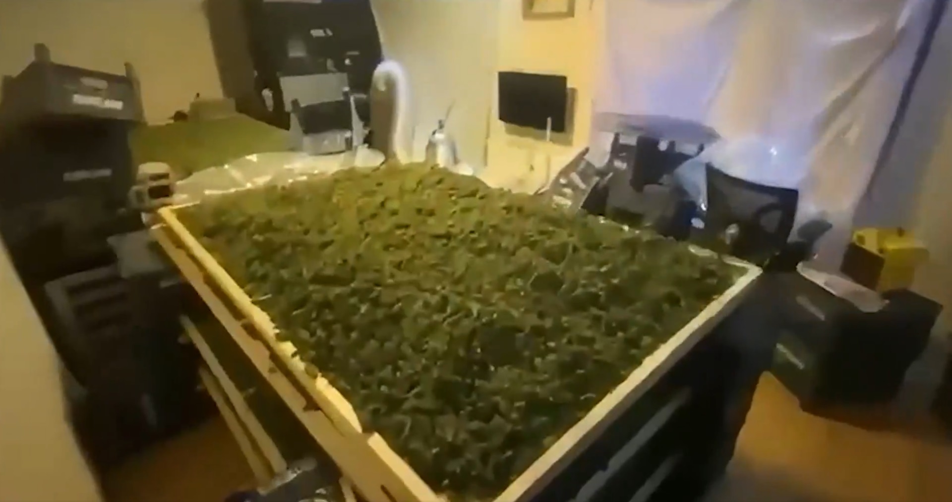 65 I L D E U Y U S T U R U C U O P E R A S Y O N U 768 G O Z A L 1084190 321796