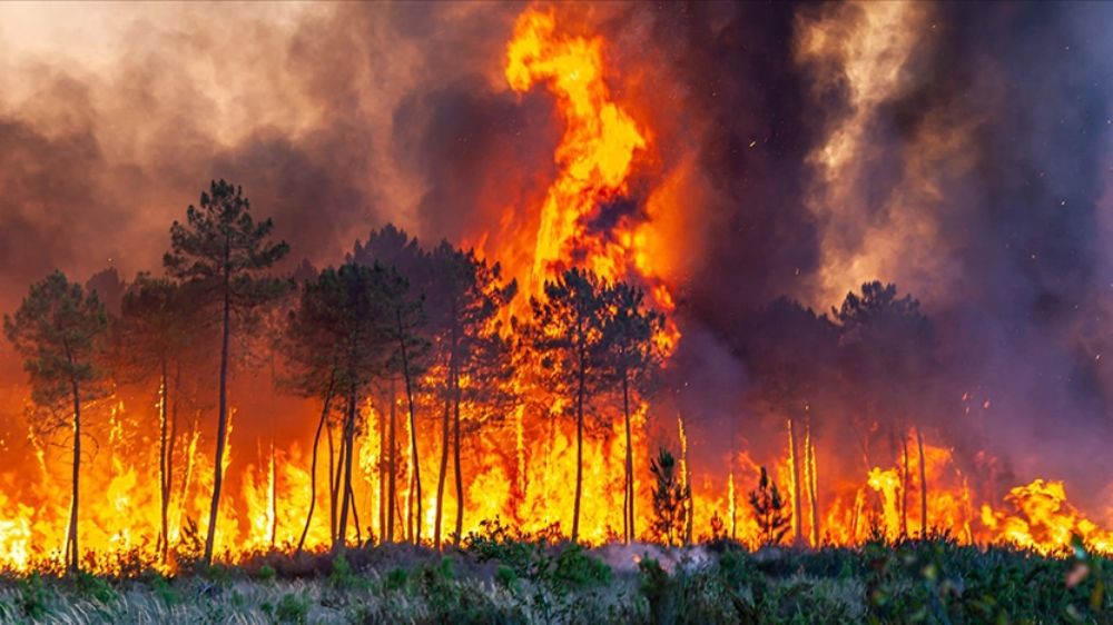 Dogal Afetlere Karsi Hazirlik Hayat Kurtaran Ipuclari Ve Stratejiler Li Ov C