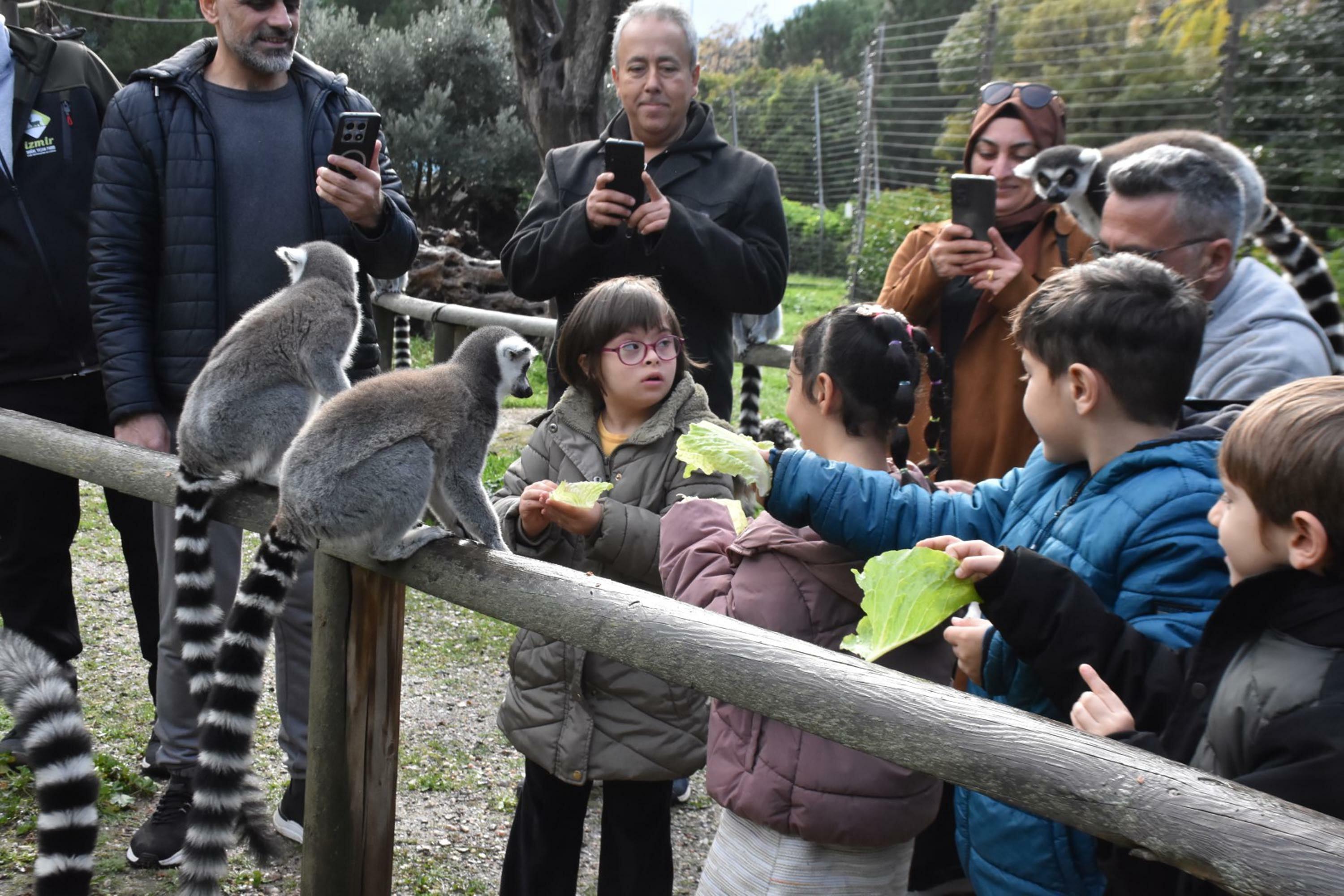 E N G E L L I C O C U K L A R L E M U R L A R L A T A N I S T I 1043034 309523