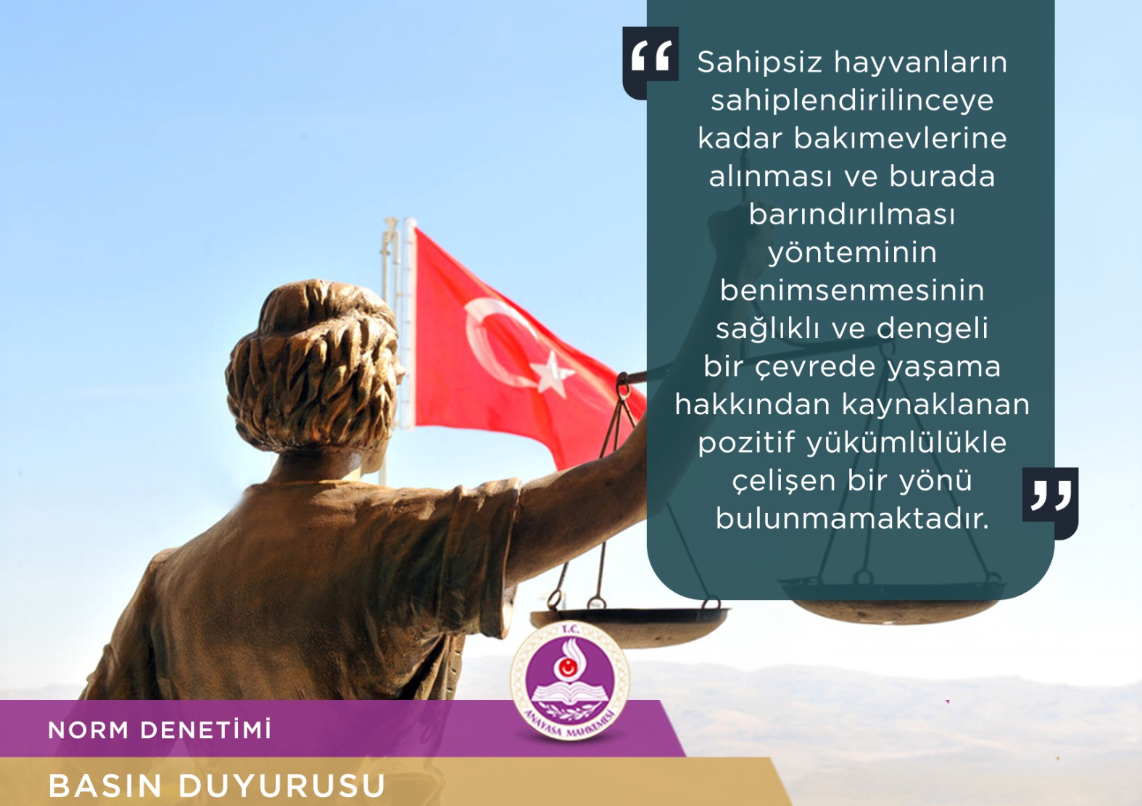 Ekran Görüntüsü 2025 12 01 160502