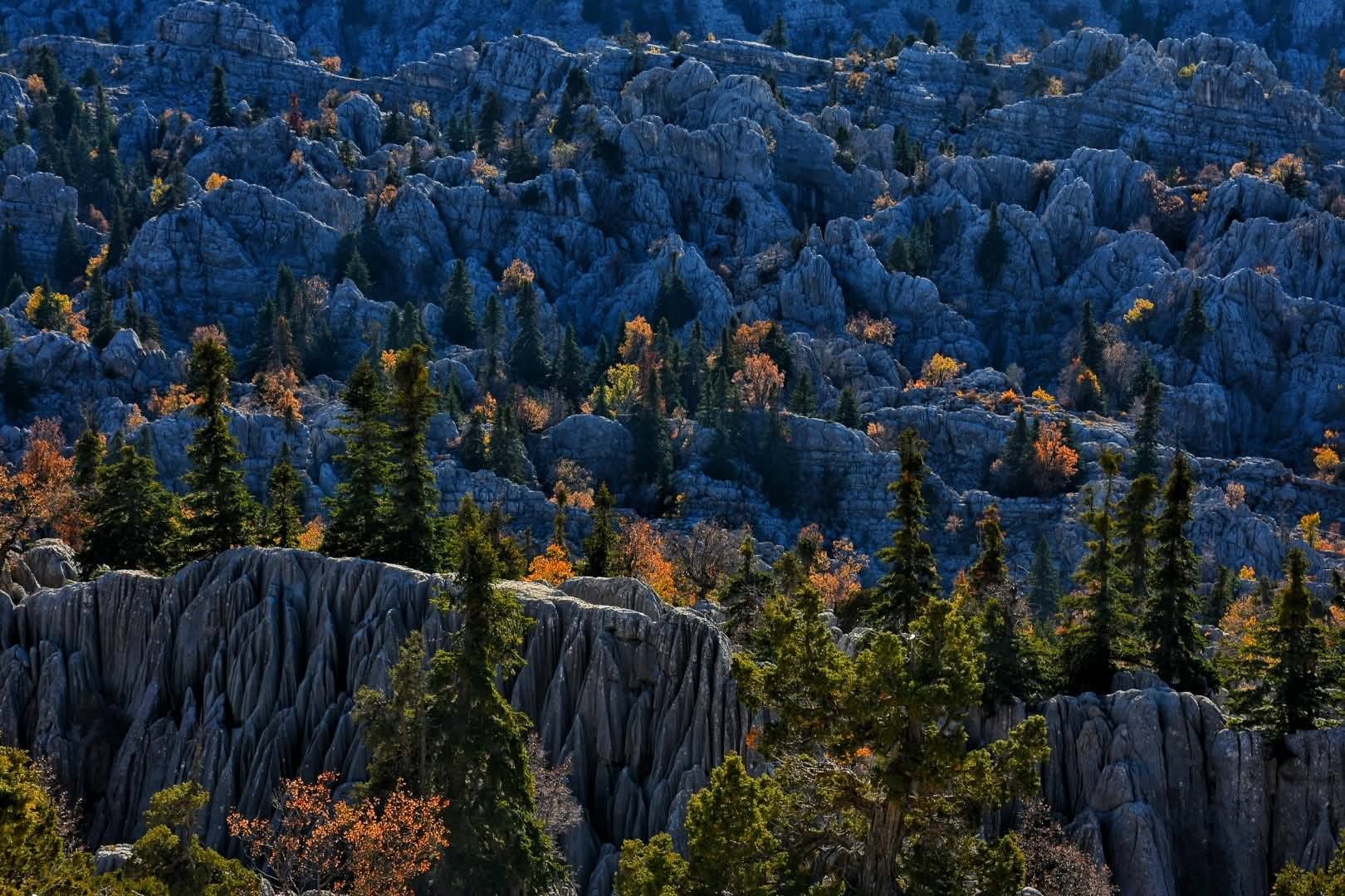 G I D E N G E L M E Z D A G L A R I N I N K O R K U T A N U C U R U M 1076611 319424